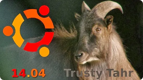 Ubuntu