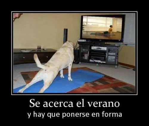 humor