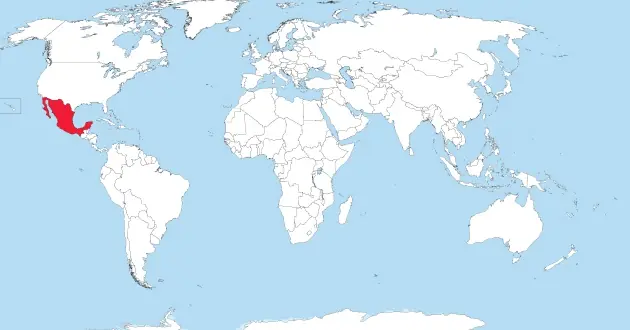 Unico país del mundo donde se vota por criminales