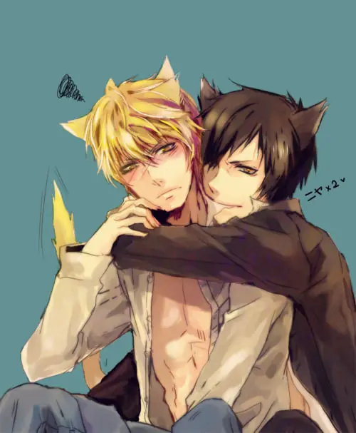 Imagenes de  NekosEverywhere