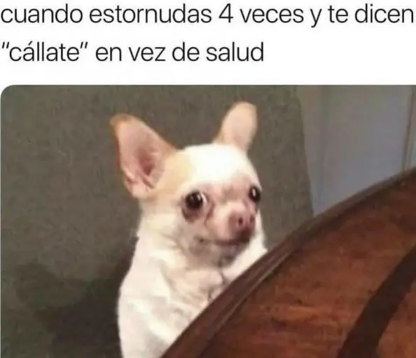 Humor:  la dosis de memes para este fin de semana Mundial