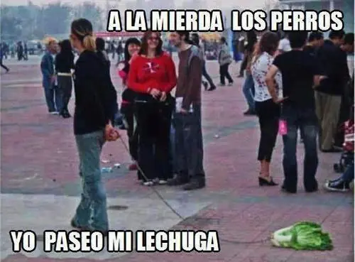 risas