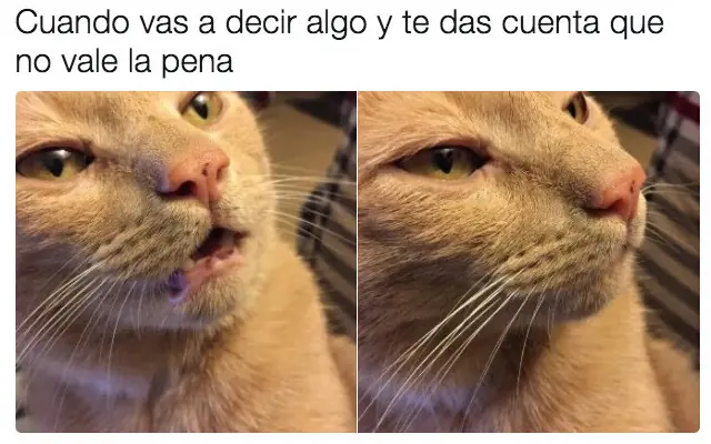 puras