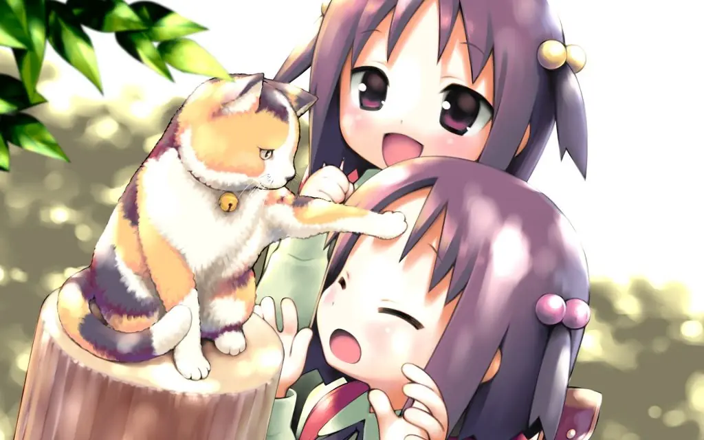 Imagenes de  NekosEverywhere