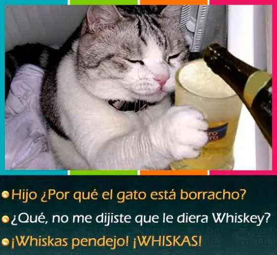 frases