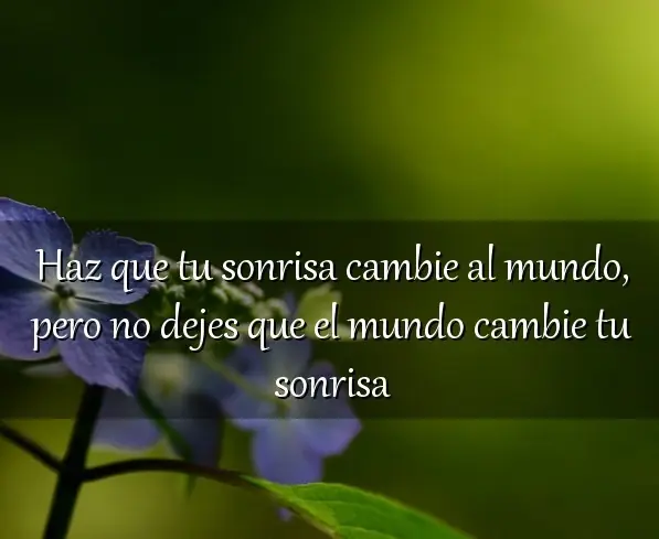positivo