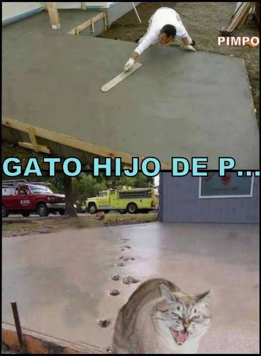 pensamientos