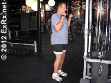 musculos musculos