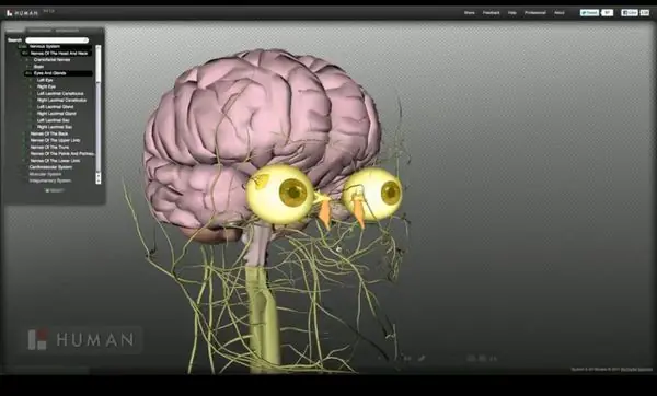 Biodigital Human un atlas 3D de la anatomía humana