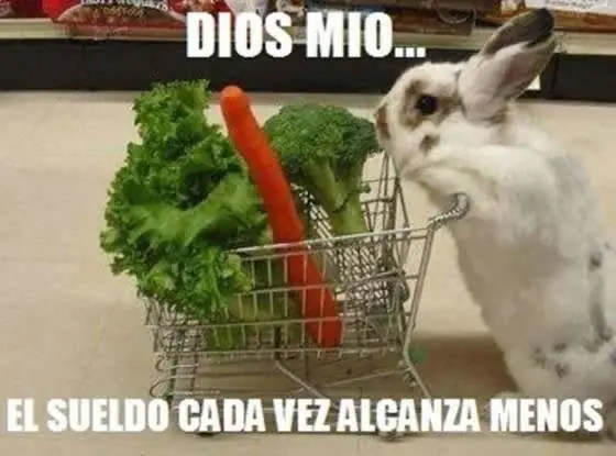 Mega Humor #9