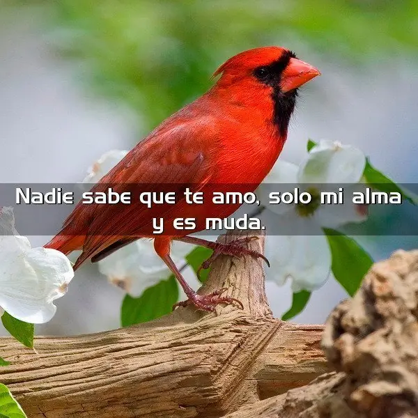 Mega Humor #9