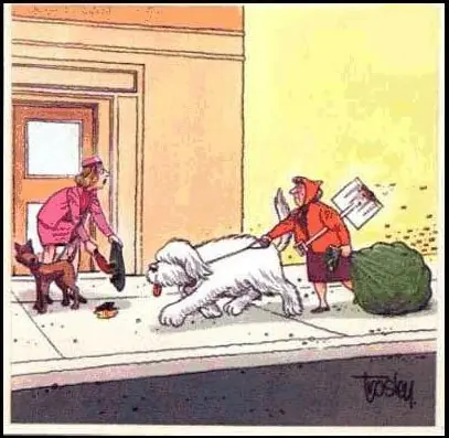 Humor Grafico