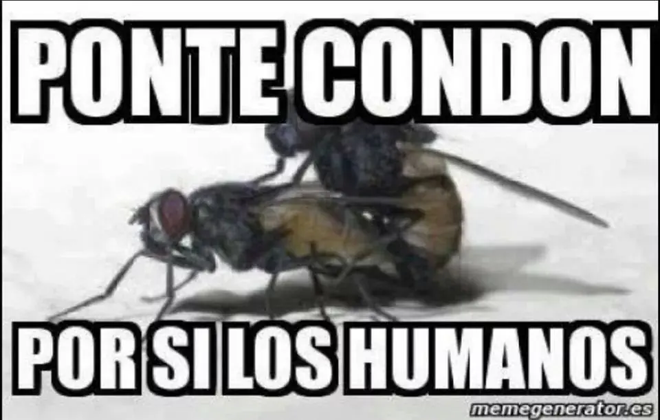 humor