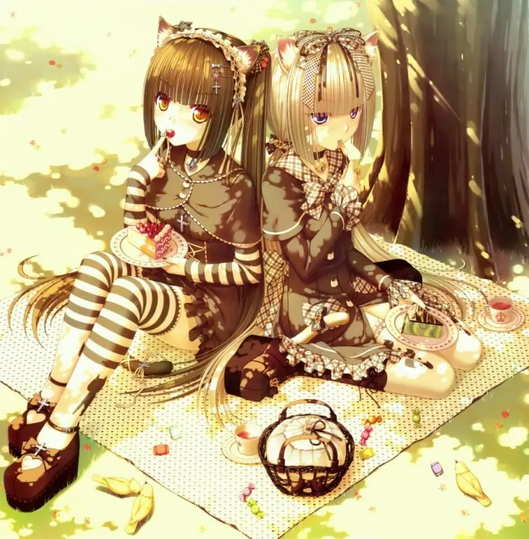 manga y anime