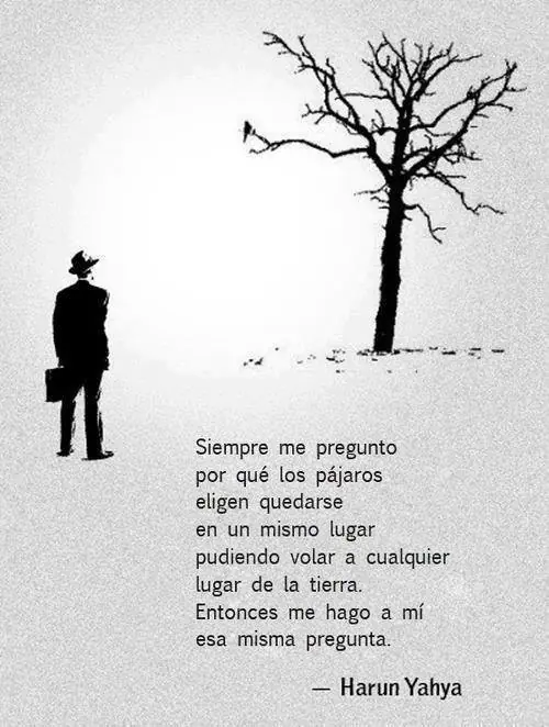 frases