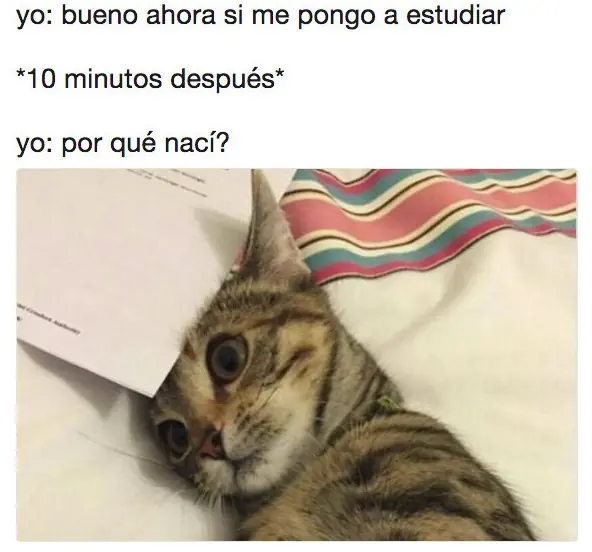 sensacional