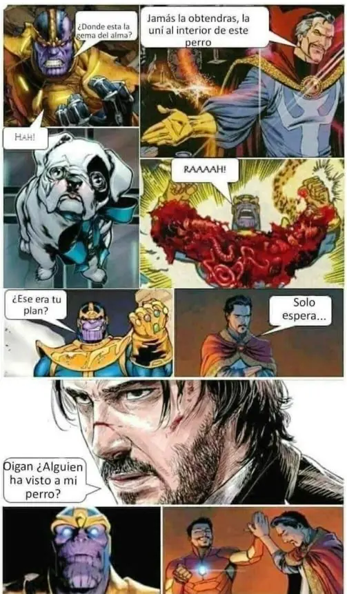 VIDA