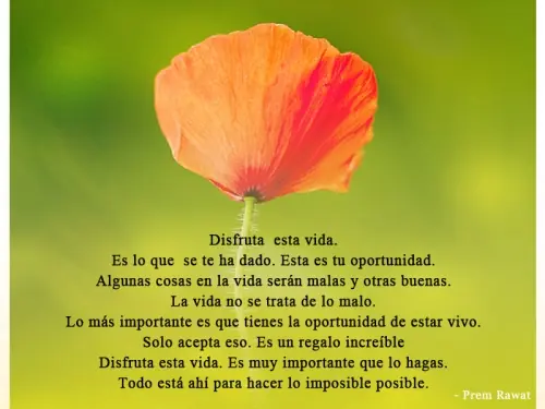 disfruta