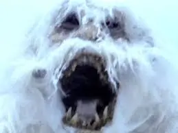 Pie Grande vs El Yeti