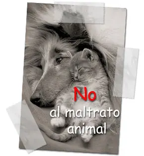 animalada