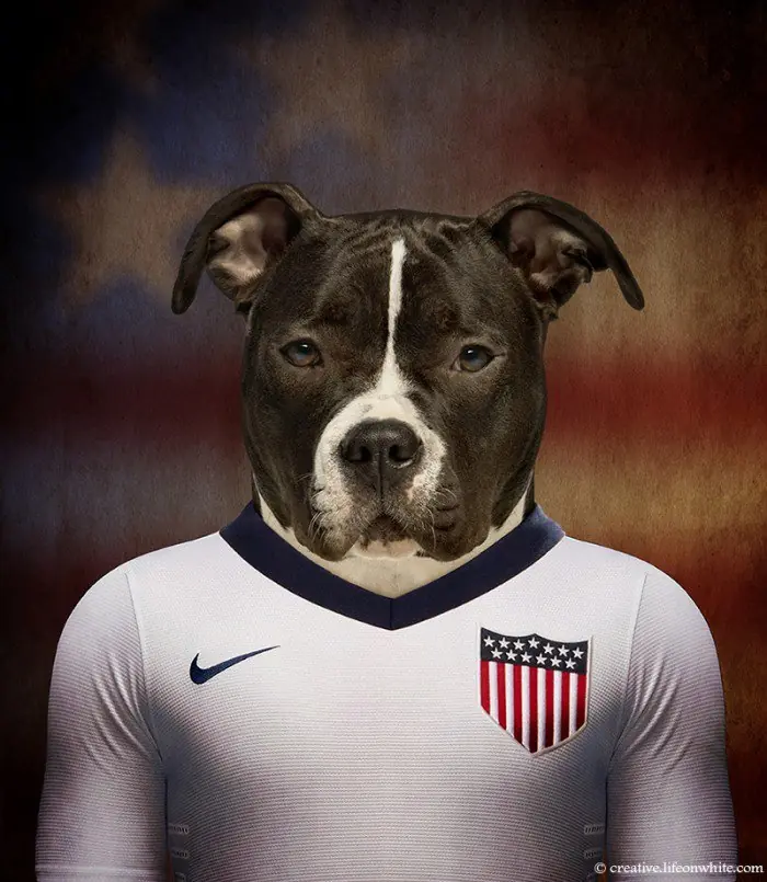 Alerta Crap: Peros y Selección