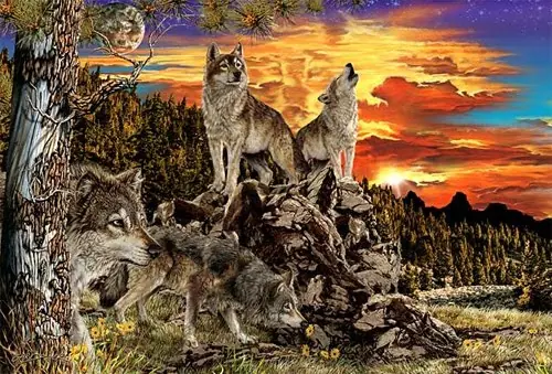 animales de poder