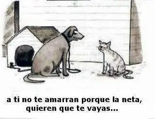 un rato de ocio