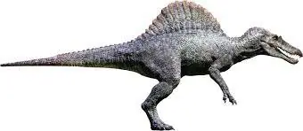 t rex