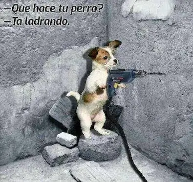 Imágenes graciosas - risa y humor