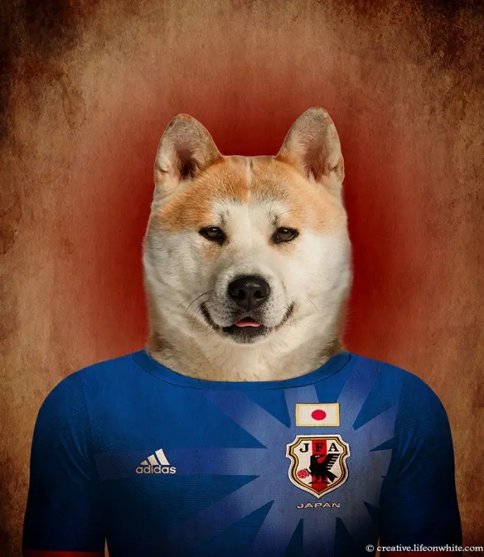 Alerta Crap: Peros y Selección