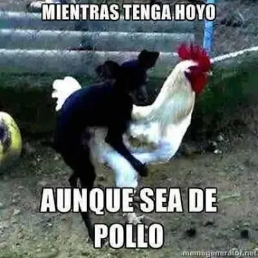 Imagenes graciosas