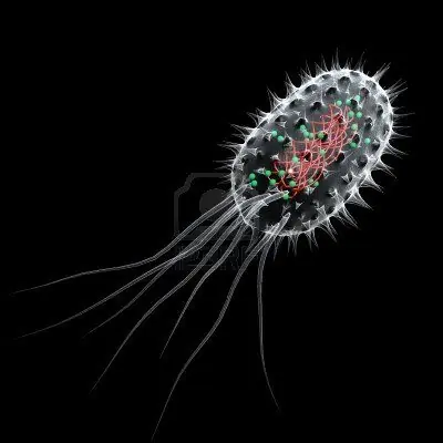 microbiologia