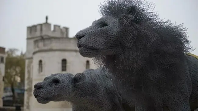 dragones dragones