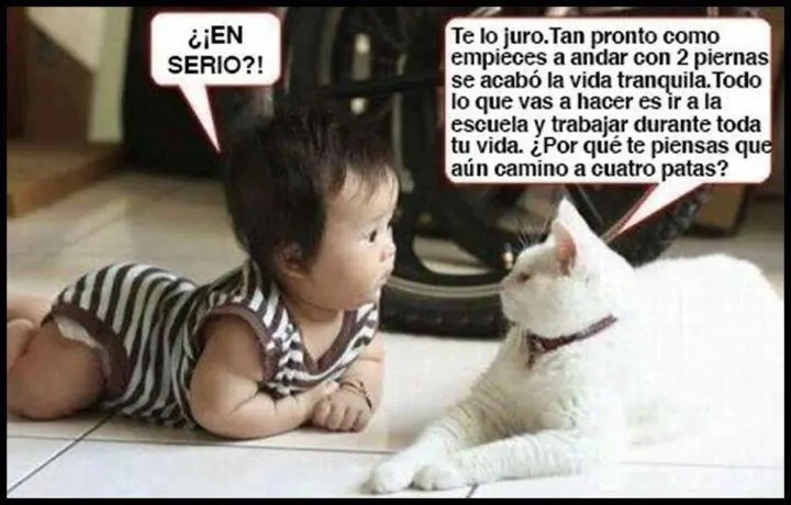 Imágenes graciosas - risa y humor