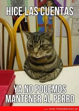 Humor Grafico