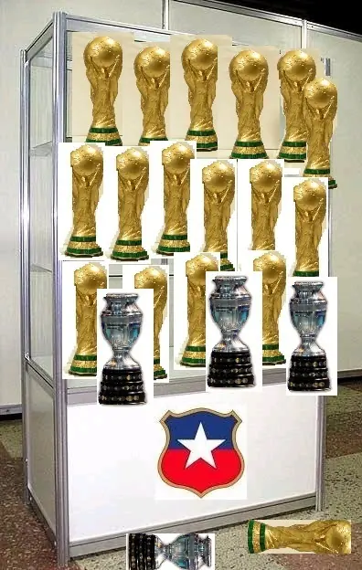 campeon copa america 2015