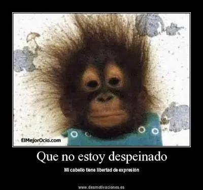 Imágenes graciosas - risa y humor