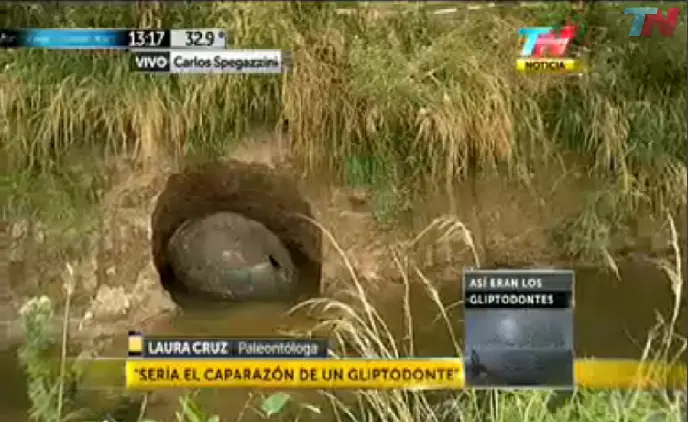 Hallaron mascota de Mirta Legrand!