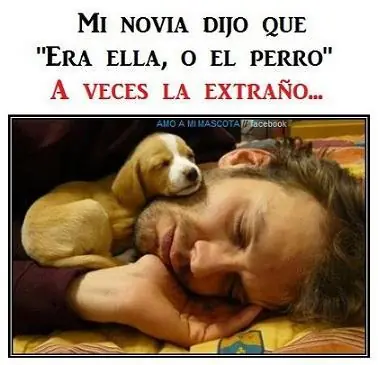 animales graciosos