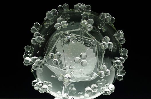 microbiologia