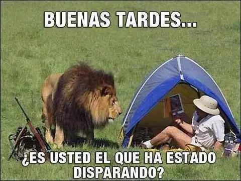 Imagenes graciosas