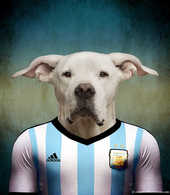 PutoElQueLee