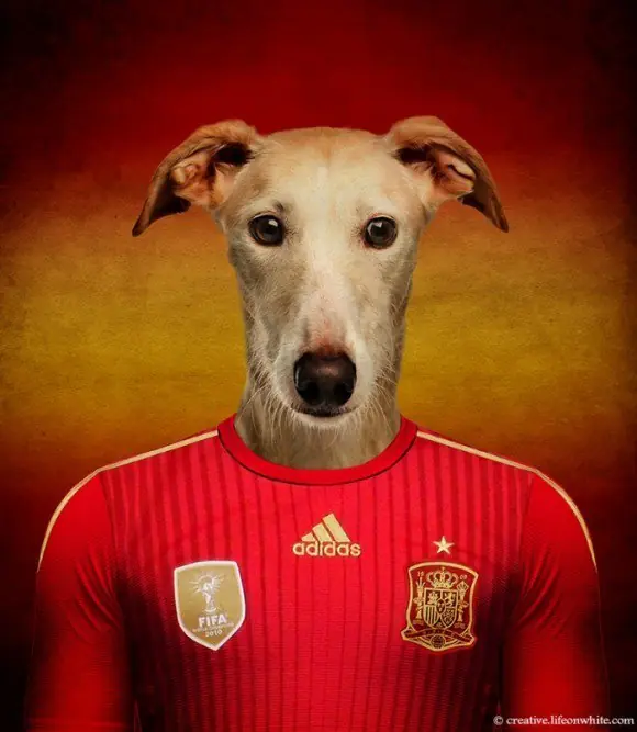 Alerta crap: Perros y Selección