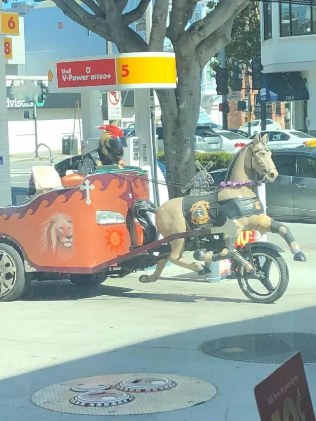wtf