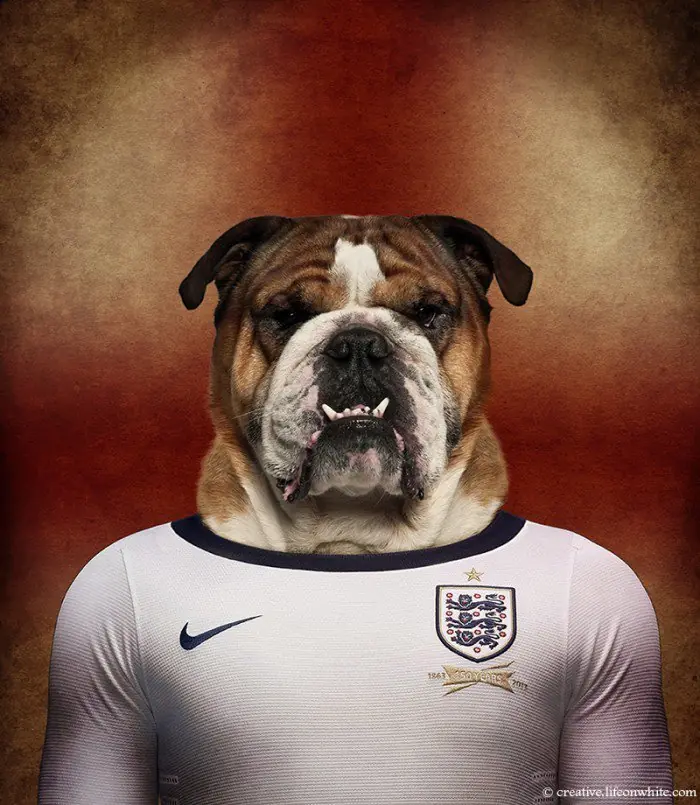 Mundial