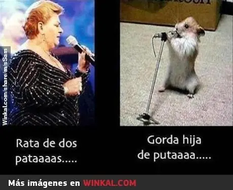 Imágenes graciosas - risa y humor