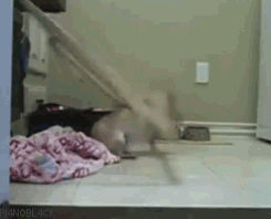 Imagenes graciosas