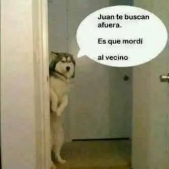 Imágenes graciosas - risa y humor