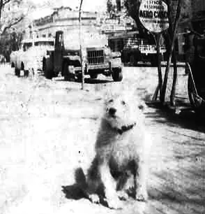 chaco
