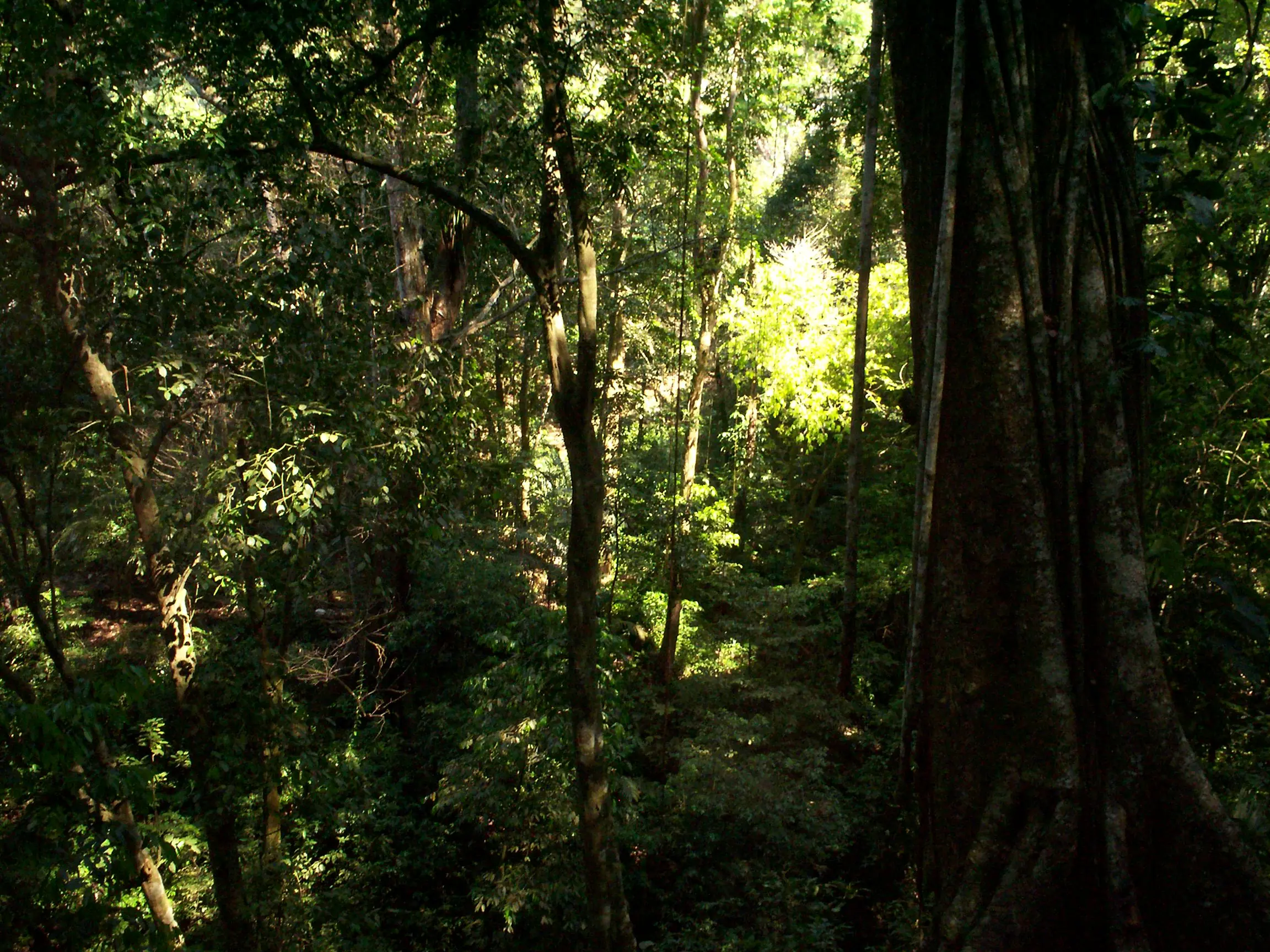 Palenque